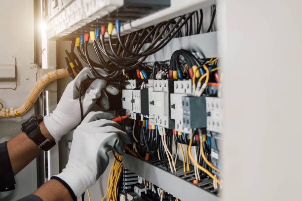 Best Electric Panel Repair  in Lake Wynonah, PA